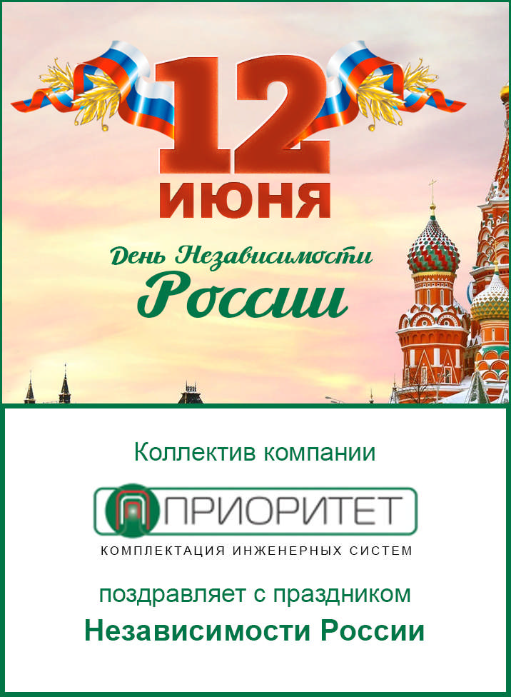 День независимости России!