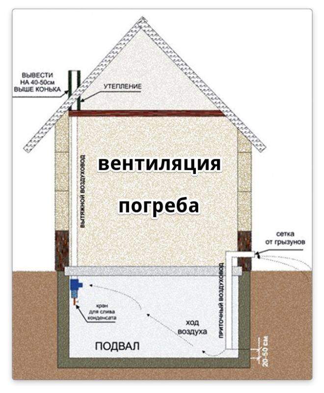 Вентиляция подпола в частном доме